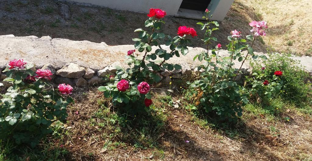 산트 안토니오 디 갈루라 Lu Rotu 빌라 외부 사진